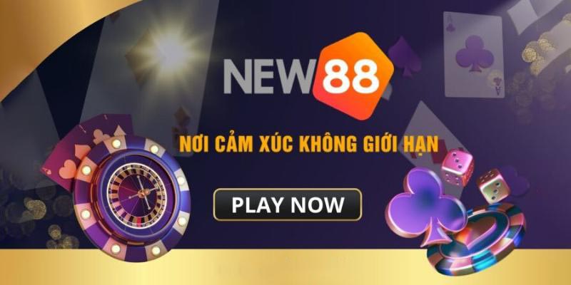 Chương Trình VIP - Đãi Ngộ Xứng Tầm New88